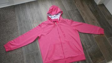 TE KOOP NIEUW VEST  ( MERK BONITA ) beschikbaar voor biedingen