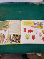 boek lekker lente vivian den hollander, Ophalen of Verzenden