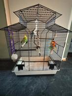 Grasparkieten+kooi, Dieren en Toebehoren, Vogels | Hokken en Kooien, Ophalen, Zo goed als nieuw, Metaal, Vogelkooi