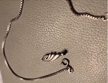 Zilveren ketting met zilveren hanger beschikbaar voor biedingen
