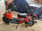 Honda zoomer, Ophalen, Honda, Gebruikt, Maximaal 45 km/u