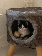 Kattenmand ( zonder kat), Dieren en Toebehoren, Ophalen of Verzenden, Zo goed als nieuw