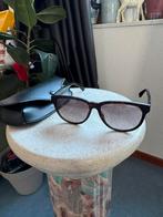 Carrera 6004 4NCHA zonnebril, Sieraden, Tassen en Uiterlijk, Zonnebrillen en Brillen | Dames, Overige merken, Zonnebril, Verzenden