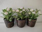Kunstplantjes in pot - Set van 3, Ophalen of Verzenden, Nieuw, Binnen