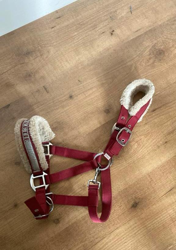 Roze pony halster met bond, Dieren en Toebehoren, Paarden en Pony's | Hoofdstellen en Tuigage, Zo goed als nieuw, Overige soorten