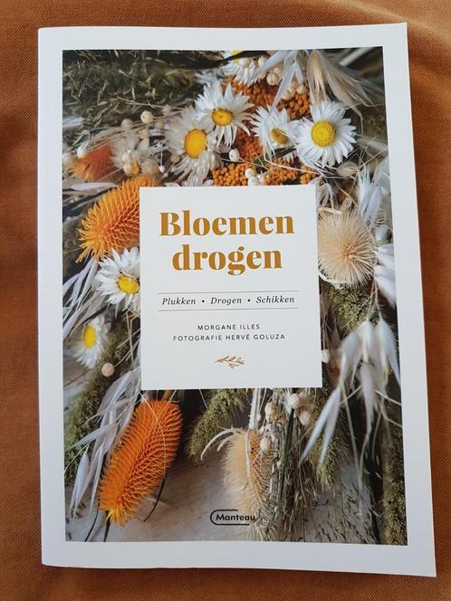 ZGAN - Morgane Illes - Bloemen drogen, Boeken, Wonen en Tuinieren, Zo goed als nieuw, Ophalen of Verzenden