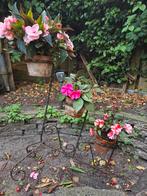 Gietijzeren franse plantenrek, Ophalen, Overige materialen, Gebruikt, Tuin