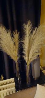 2 vazen met pluimen, Ophalen of Verzenden, Zo goed als nieuw