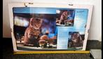 Poster kitten poes nieuw Verzendkosten koper, Rechthoekig Staand, Nieuw, Ophalen of Verzenden, A1 t/m A3