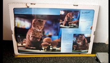 Poster kitten poes nieuw Verzendkosten koper beschikbaar voor biedingen