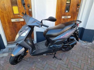 Sym Orbit matgrijs 1050 snor, 1199 brom, bij Scooterforyou beschikbaar voor biedingen