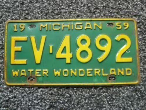Kentekenplaat licenseplate Michigan Water Wonderland 1959 US, Verzenden, Gebruikt, Auto's