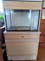 Aquarium met tl-verlichting, 50x30x30 cm, Dieren en Toebehoren, Ophalen, Gebruikt, Leeg aquarium