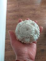 Gehaakte Zeeuwse Knop - Handgemaakt, Hobby en Vrije tijd, Ophalen of Verzenden, Nieuw, Haken, Overige typen