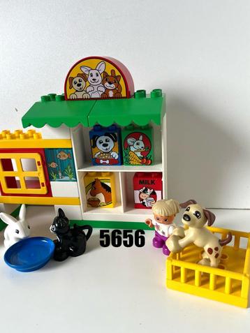 Lego DUPLO 5656 - Dierenwinkel beschikbaar voor biedingen