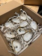 Prachtige parelwitte oesterschelpen oesters GOEDKOOPSTE!!, Hobby en Vrije tijd, Knutselen, Nieuw, Ophalen of Verzenden, Knutselwerk