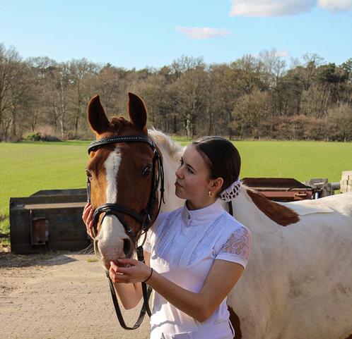 Verzorgpony/paard gezocht, verzorger/bijrijder aangeboden, Dieren en Toebehoren, Paarden en Pony's | Verzorgingsproducten, Nieuw