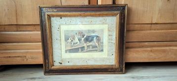Poitevin honden - Batards Du Haut-Poitou 44x38cm beschikbaar voor biedingen