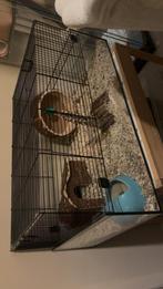 Hamsterkooi. 78x48x36, Dieren en Toebehoren, Minder dan 60 cm, Kooi, Minder dan 75 cm, Ophalen of Verzenden