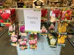 Partij bloembollen -- 50% KORTING -- GRATIS VERZENDEN, Ophalen, Volle zon, Bloembol