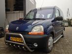 Renault Kangoo Sidebars met rvs treeplank