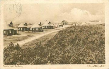 (380-786-005) Nes Ameland Bosch met Badweg beschikbaar voor biedingen