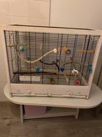 Vogelkooi guilietta 5, Dieren en Toebehoren, Ophalen, Gebruikt, Hout, Vogelkooi