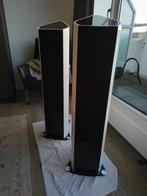 Sonus Faber Venere 3.0, Audio, Tv en Foto, Luidsprekers, Zo goed als nieuw, 120 watt of meer, Front, Rear of Stereo speakers, Ophalen
