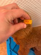 Steiff knuffel hond, Ophalen, Hond