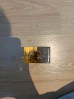 Sprinkhaan in Hars - Curiosa Object, Ophalen of Verzenden