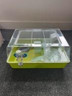 Hamsterkooi met toebehoren, Dieren en Toebehoren, Knaagdieren en Konijnen | Hokken en Kooien, Kooi, Gebruikt, Ophalen, Minder dan 60 cm