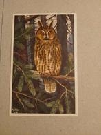 Oude Ansichtkaart Ransuil - H.J. Slijper, Verzamelen, Ophalen of Verzenden