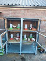 Konijnflat, Dieren en Toebehoren, Overige typen, Ophalen of Verzenden, 90 cm of meer, Konijn