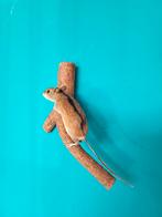 Een prachtige opgezette muisje om op te hangen!Nr 8, Verzamelen, Ophalen of Verzenden, Nieuw, Overige soorten, Opgezet dier