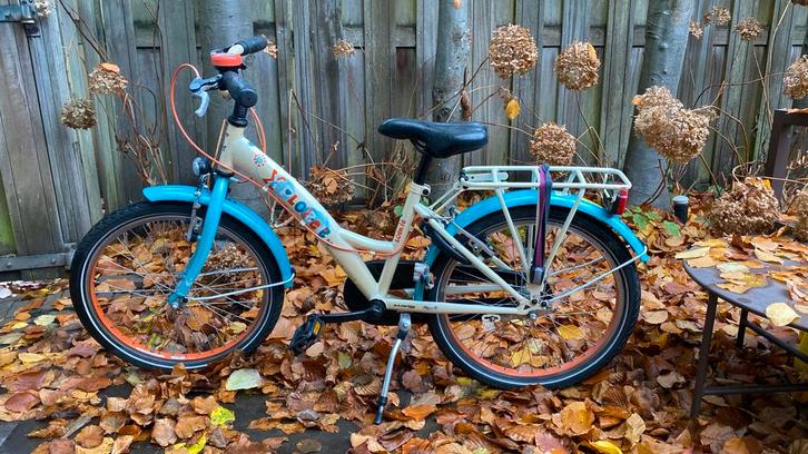 Lookie Xplorer Meisjesfiets 20 inch, Fietsen en Brommers, Fietsen | Meisjes, Gebruikt, 20 inch, Handrem, Ophalen