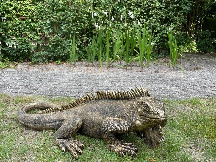 (Tuin)Beeld Leguaan, tuin, zwembad, vijver, salamander 100cm, Tuin en Terras, Tuinbeelden, Nieuw, Dierenbeeld, Kunststof, Ophalen