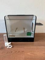 Vogel tentoonstellingskooi, Dieren en Toebehoren, Ophalen of Verzenden, Zo goed als nieuw, Hout, Vogelkooi