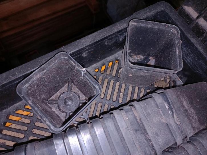 50 Kweekpotten 7x7 cm, Tuin en Terras, Bloempotten, Gebruikt, Kunststof, Binnen, Balkon, Tuin, Minder dan 40 cm, Minder dan 25 cm