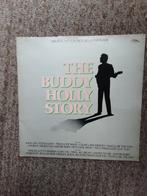 vinyl lp Gary Busey the buddy holly story, Rock&roll, Gebruikt, Ophalen of Verzenden, 12 inch