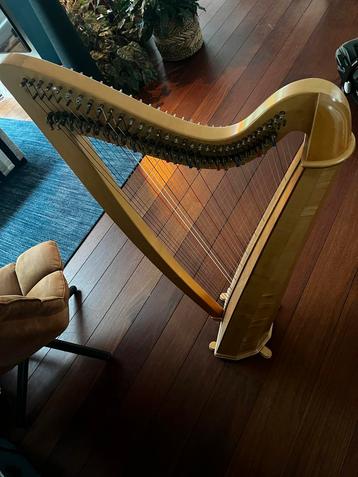 Hans den brok harp, 34 snaren beschikbaar voor biedingen