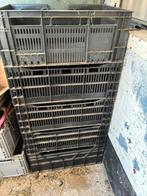 5 stapelkratten 40 x 60 x 23, Ophalen, Gebruikt, 40 tot 60 cm, 50 tot 75 cm