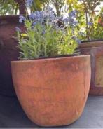 Antieke unieke terracotta bolpotten diverse maten, Tuin en Terras, Bloempotten, 25 tot 40 cm, Gebruikt, Rond, Binnen
