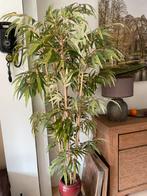 Kunstplant, Huis en Inrichting, Kamerplanten, Overige soorten, 150 tot 200 cm, Volledige schaduw, In pot