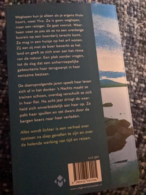 Janke Reitsma - Alles wordt lichter, Boeken, Literatuur, Zo goed als nieuw, Nederland, Ophalen of Verzenden