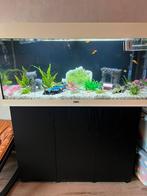Aquarium met pomp en toebehoren, Dieren en Toebehoren, Ophalen, Gebruikt, Gevuld zoetwateraquarium