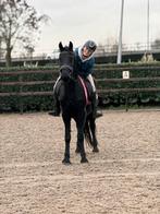 ** Super lieve kruising fries e pony merrie **, Dieren en Toebehoren, Zadelmak, 3 tot 6 jaar, Gechipt, Recreatiepony