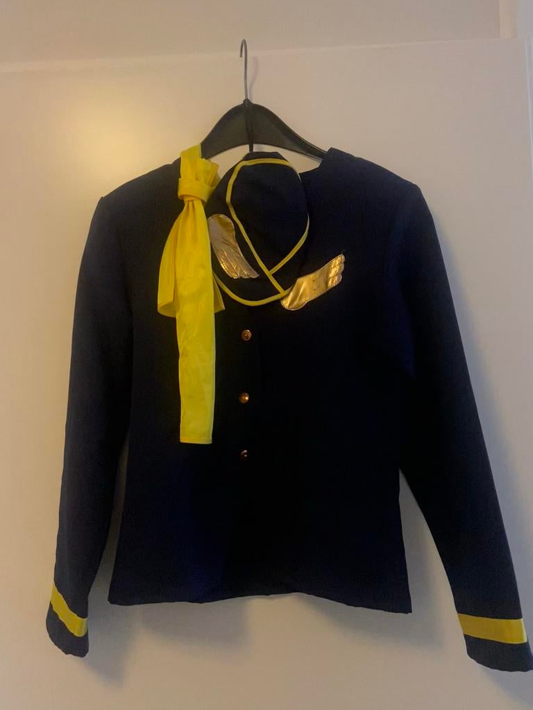 Stewardessen Carnavalspak - Maat S/M, Carnaval, Ophalen of Verzenden, Zo goed als nieuw, Kleding