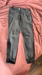 Rijbroek maat 42 QHP, Dieren en Toebehoren, Gebruikt, Overige soorten, Dames, Onderkleding
