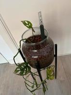 Plantenstandaard zonder plant, Huis en Inrichting, Kamerplanten, Ophalen, Overige soorten, Halfschaduw, In pot