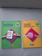 Theorieboeken PW niveau 3&4, Boeken, Ophalen of Verzenden, Zo goed als nieuw, MBO, ThiemeMeulenhoff